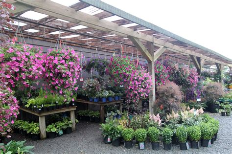 discount plants bay area